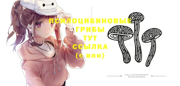 МДПВ Алексеевка