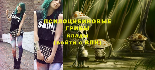 МДПВ Алексеевка