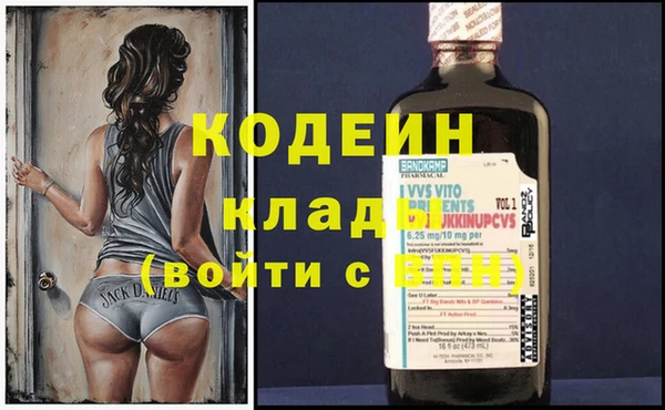 молекула духа Алзамай