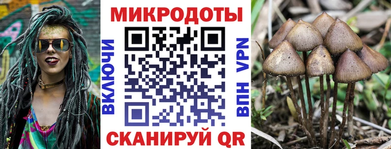 как найти закладки  Кимры  Галлюциногенные грибы GOLDEN TEACHER 
